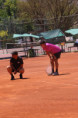 /album/itf-junior-ioannina-2026/747273801-27365526553148368-8650346484763954251-n-jpg/
